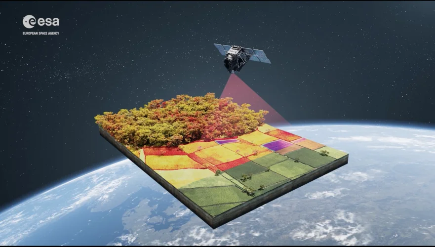 FLEX Mission Enhances Understanding of Plant Response to Environment